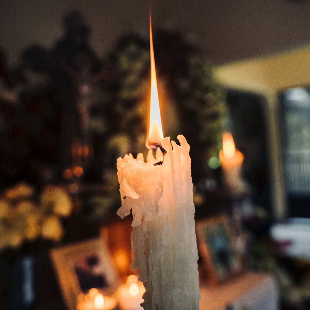diego-lozano-wuCHIyWheSo-unsplash