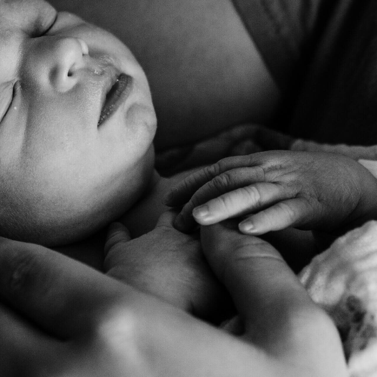 olivia-anne-snyder-2IPQ_rh2spE-unsplash
